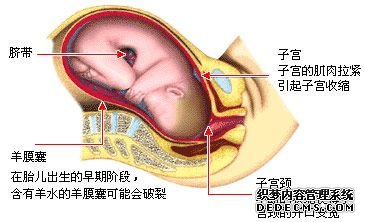 第一产程 (宫颈扩张期)