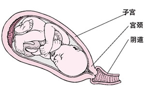 顺产分娩全过程解析